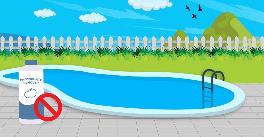 Phosphates In Your Pool Water? What to Do Now! Globo Pool